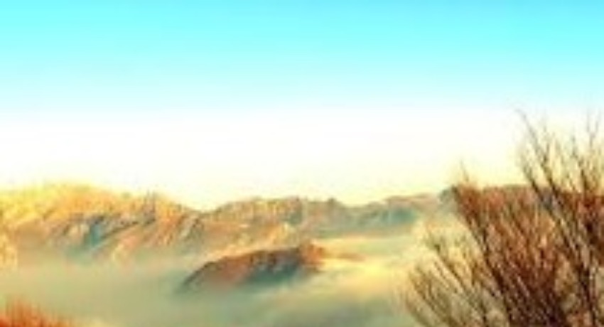 服务全矩阵 - 色花堂官网 - 全链路文化传媒服务体系平台